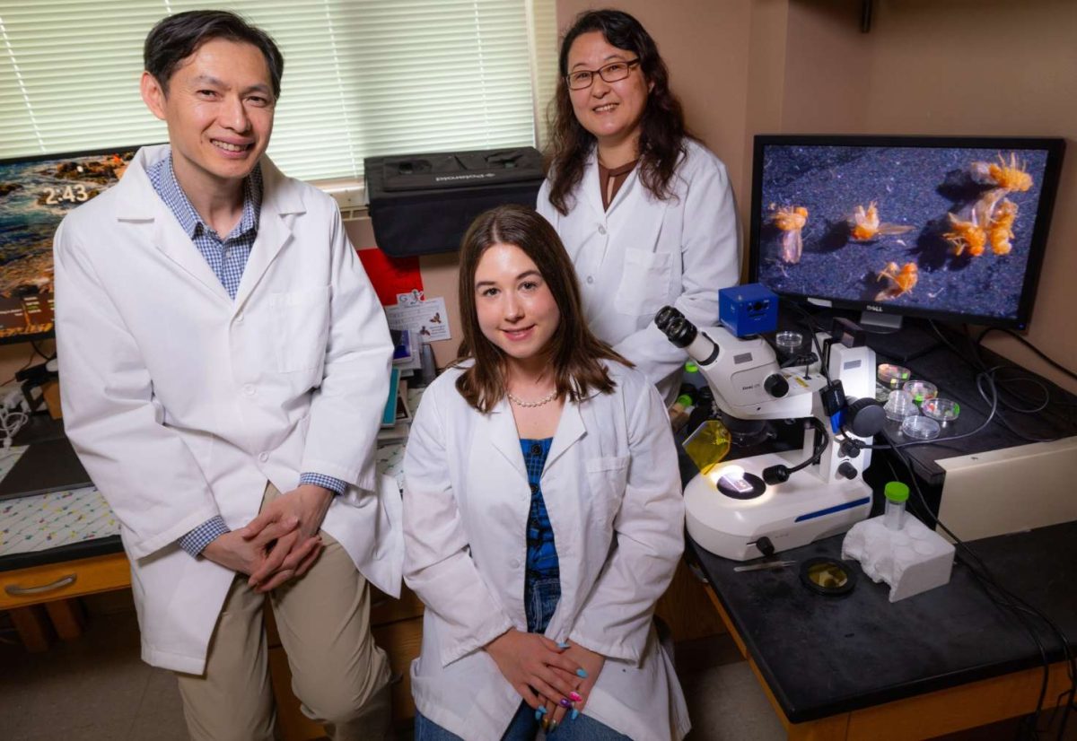 Associate professor Hua Bai (left), senior in genetics Wren Muryzn and adjunct assistant professor Ping Kang in Kang's lab inside the Molecular Biology Building.