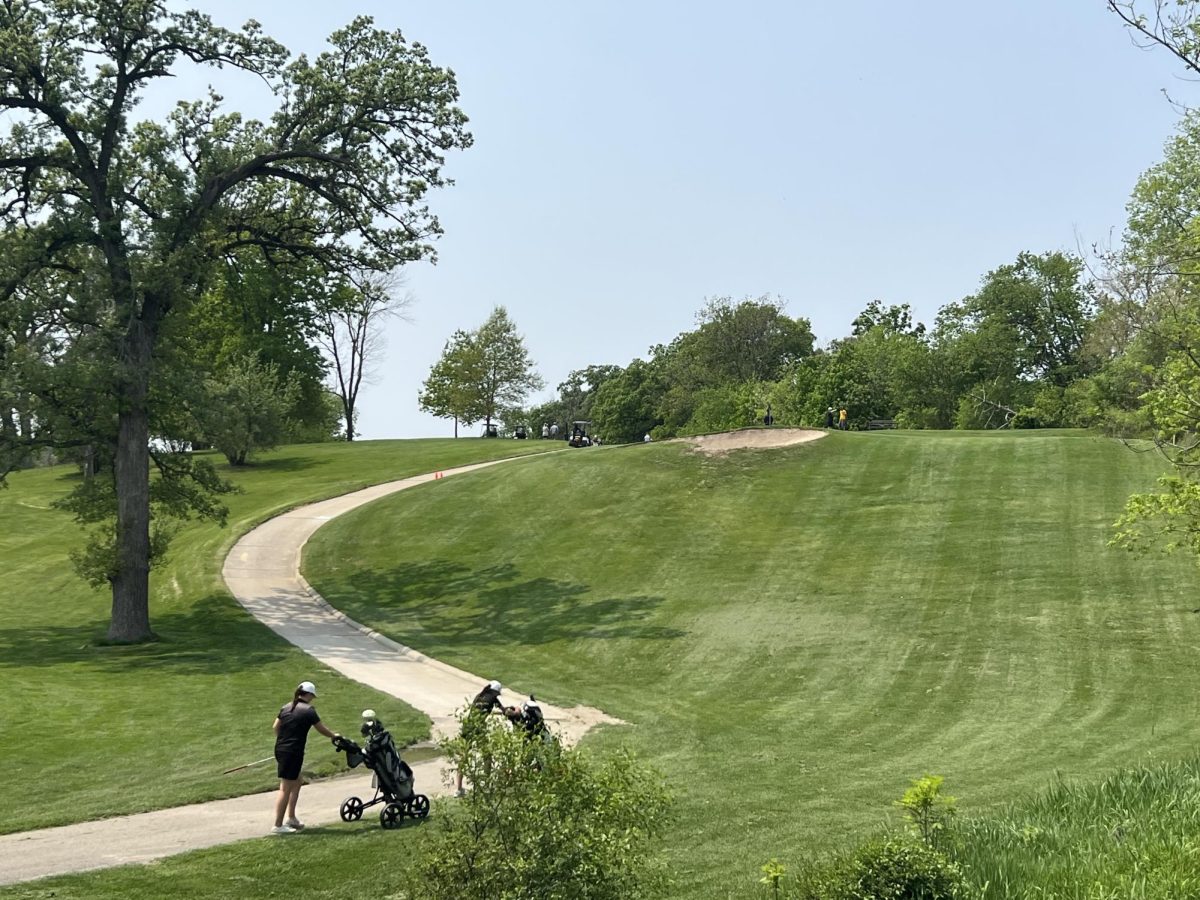 Golfers make their way up the fairway on a sunny afternoon at Veenker Memorial Golf Course. 