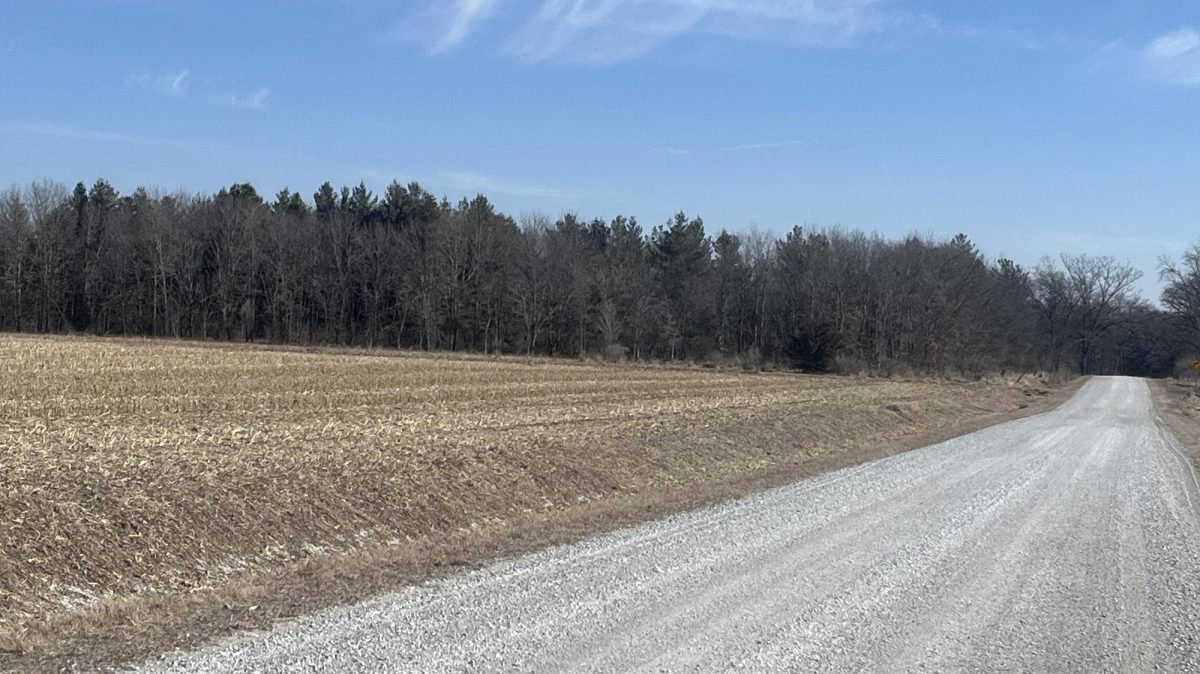 Approaching Leopold Woods from the west. The dominant presence of white pine trees is clear even from a distance. (Photo: Jim Colbert)